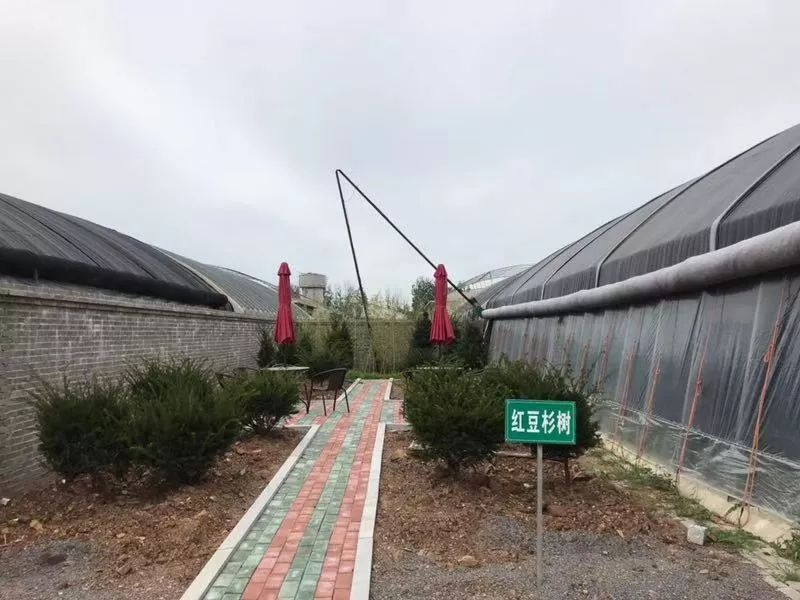 有没有两人一起泡温泉的地方,和伙伴们一起泡温泉