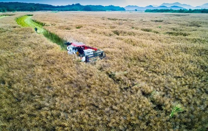 姹犲窞鐢熸椿璁板綍,姹犲窞娓哥帺鏃ヨ
