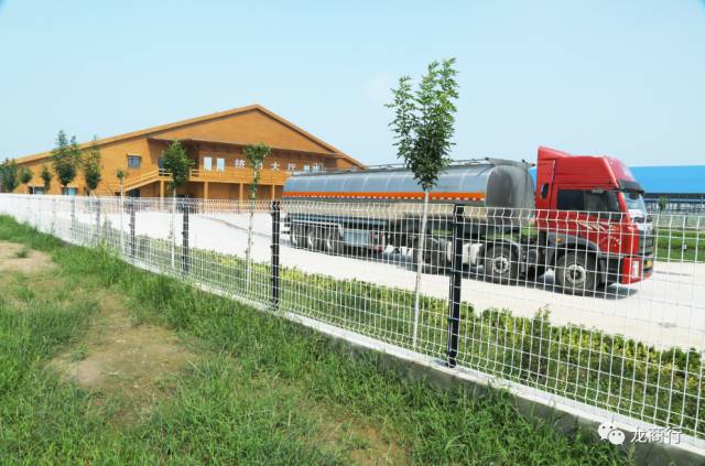 总第14期「2017.07.25」［全网10万+］养一头有情怀的牛，奉献一杯有品质的奶