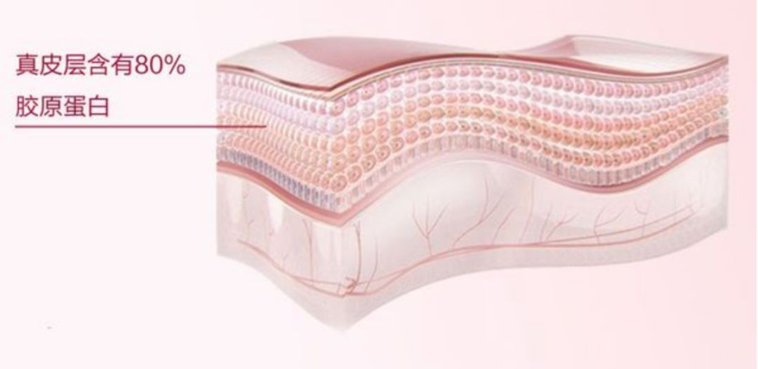 完美女神竟是“宠夫狂魔”？实力圈粉上演浪漫双重奏