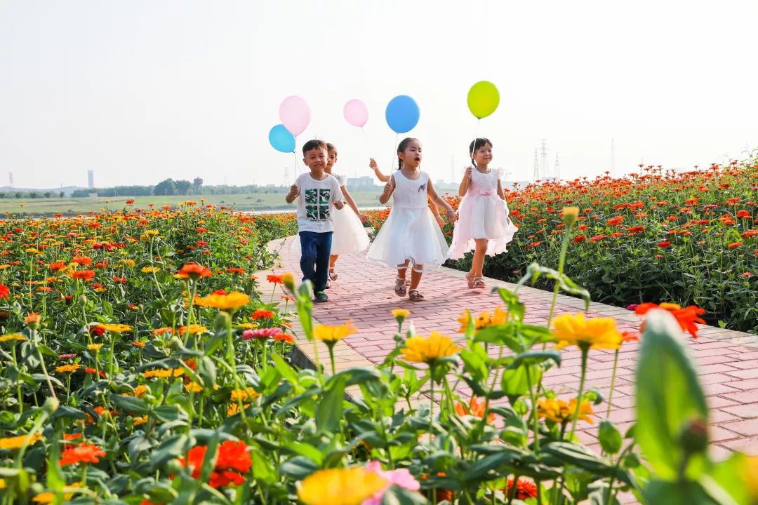 满城尽带黄金甲!在佛山,就能感受秋日童话的浪漫