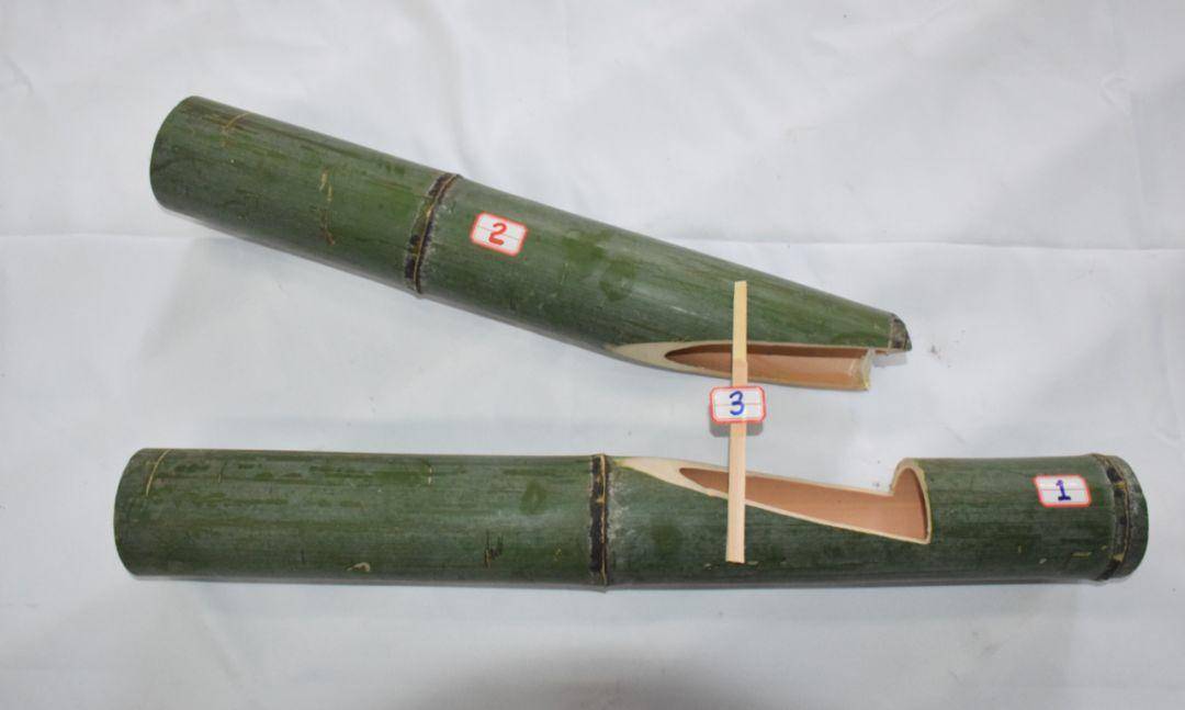 竹子的优点有哪些,竹子很有营养吗