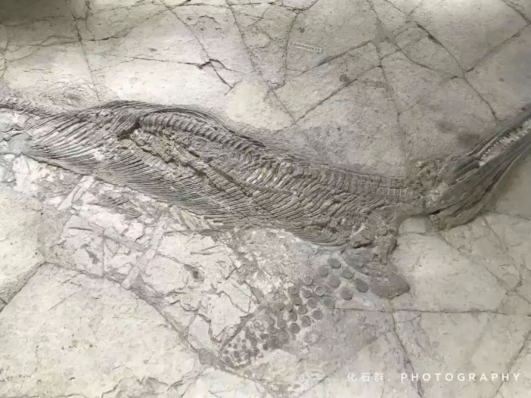 安顺旅游攻略自由行三天,安顺5天旅游攻略