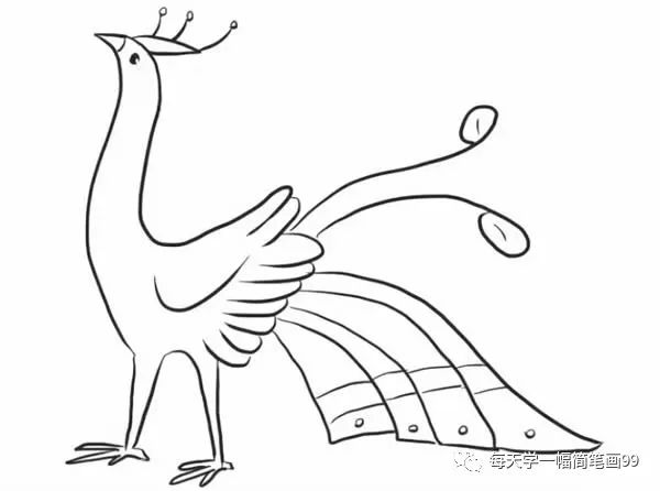 二年级孔雀简笔画简单又好看,叶罗丽孔雀简笔画简单又漂亮