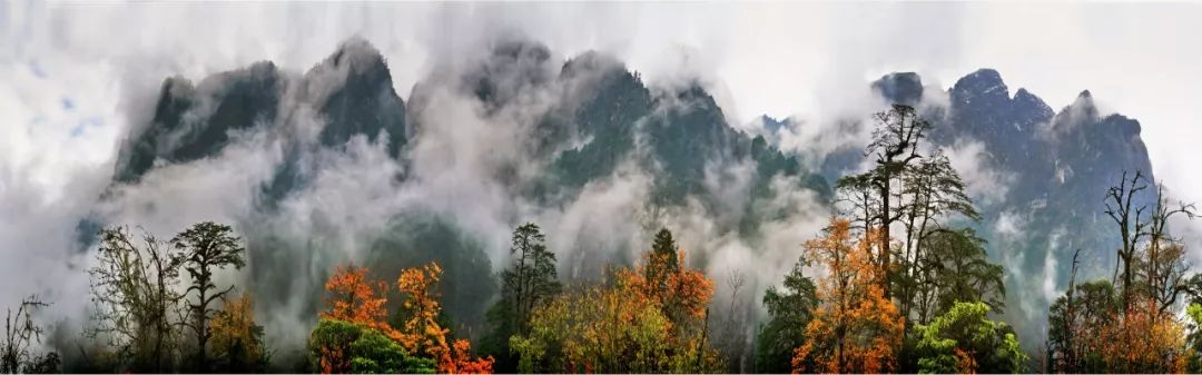 秋天的川西彩林,川西彩林最佳观赏地点