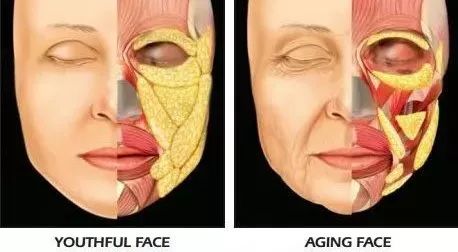 完美女神竟是“宠夫狂魔”？实力圈粉上演浪漫双重奏