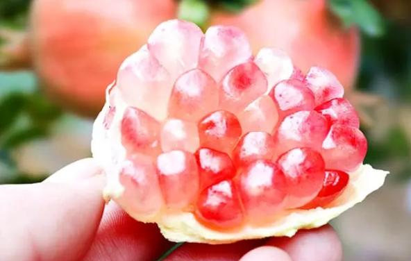 两岁的宝宝吃石榴要不要吐籽,吃石榴需要吐籽吗