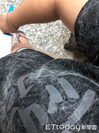 喵见天气转凉　贴心帮奴才把黑T变白毛衣