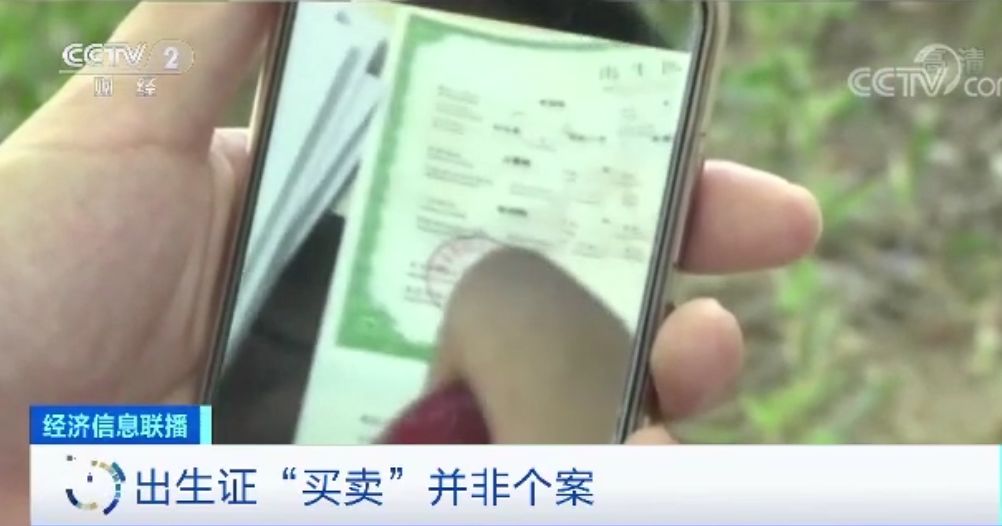 出生也能“自定义”？！出生证明竟网上买卖，审核、签发一人说了算...