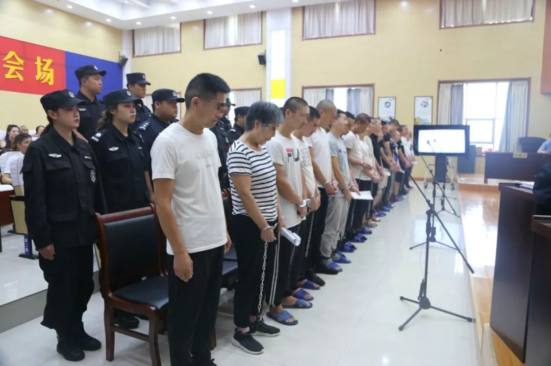 扫黑除恶|宜阳法院扫黑除恶成绩单！