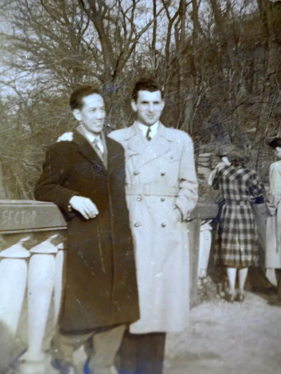 又一香港青年！考入岭大，弃文从医，成为我国兽医药理学学科奠基人