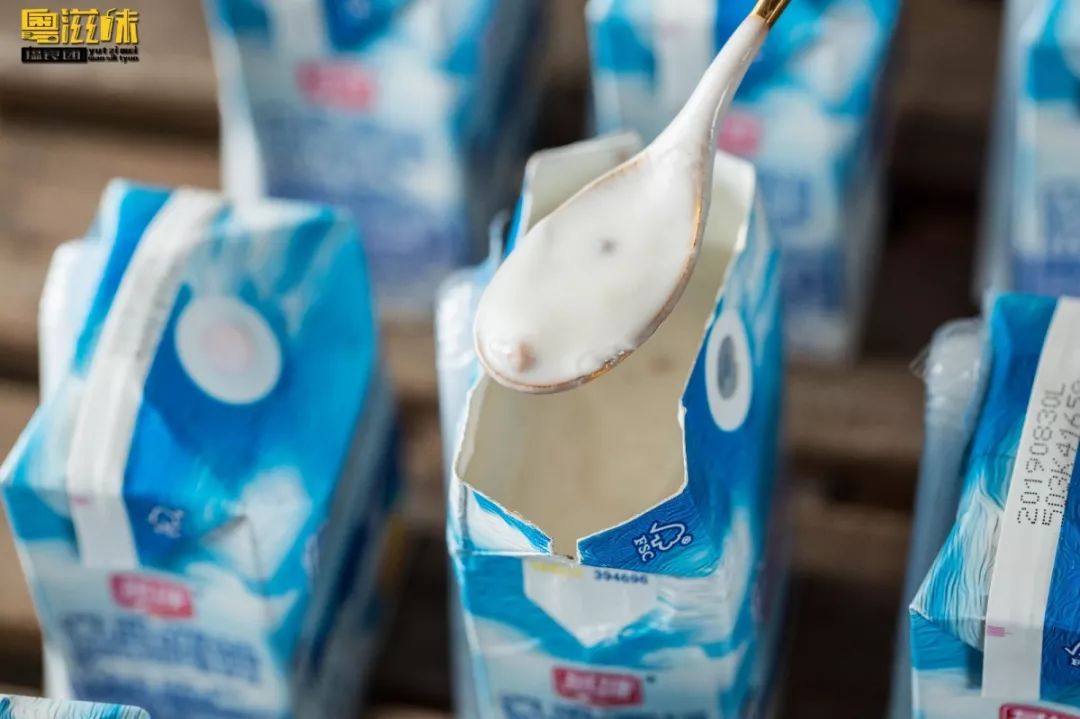 抢占“鲜”机！这个广东人爱了63年的燕塘牛奶，终于要登陆澳门了