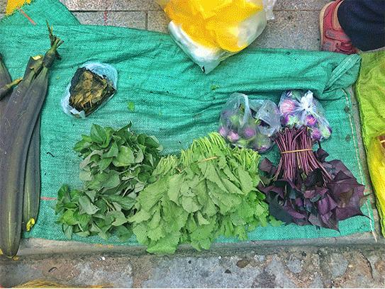 西双版纳傣族赶街视频,勐腊县勐仑镇赶街