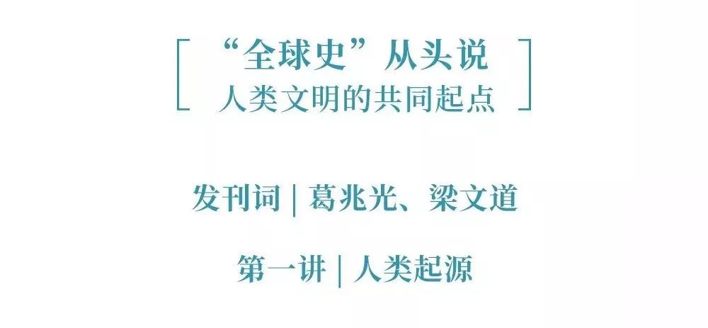 超有趣的世界史,全球史的当代意义