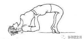 关于盆底康复你想知道的都在这里,老年女性盆底有病什么症状