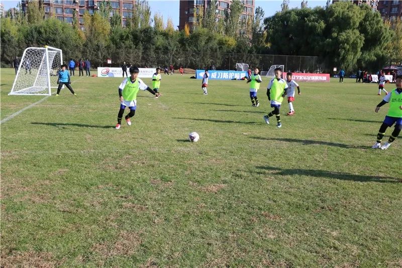 涓皬瀛﹁冻鐞冭禌闈掕,灏忓瓒崇悆闈掕姣旇禌