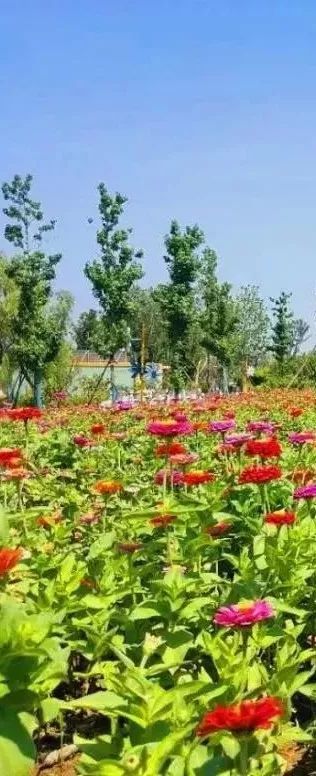 黄石周边一日游网红打卡地,黄石市爬山散步