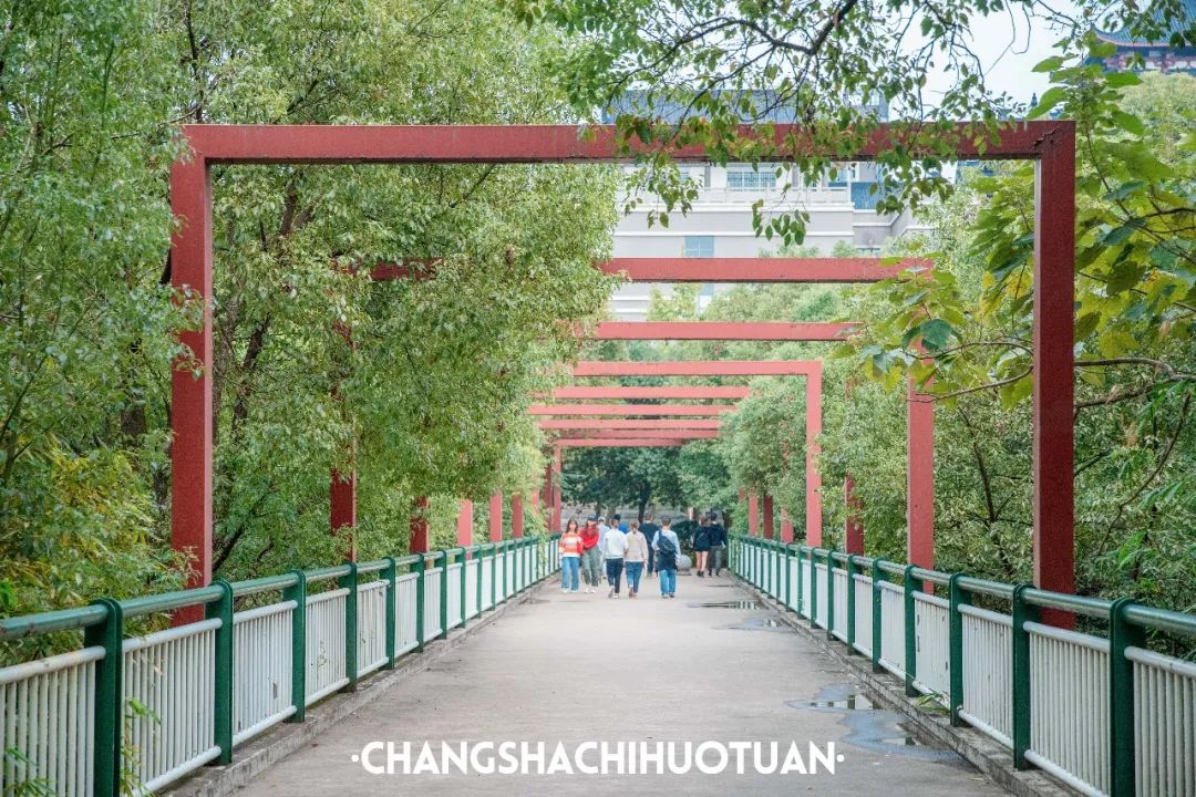 闀挎矙姘戞斂瀛︽牎瀹樼綉,闀挎矙姘戞斂瀛﹂櫌鐢熸椿