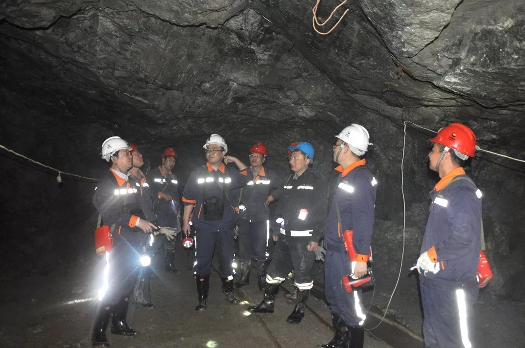 中国工程院院士海阳,海阳出了几位院士