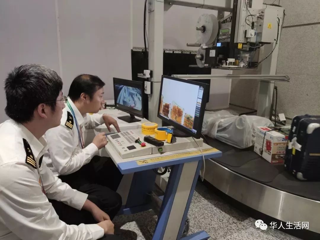 海关查获违禁武器,中国海关限制入境的药物