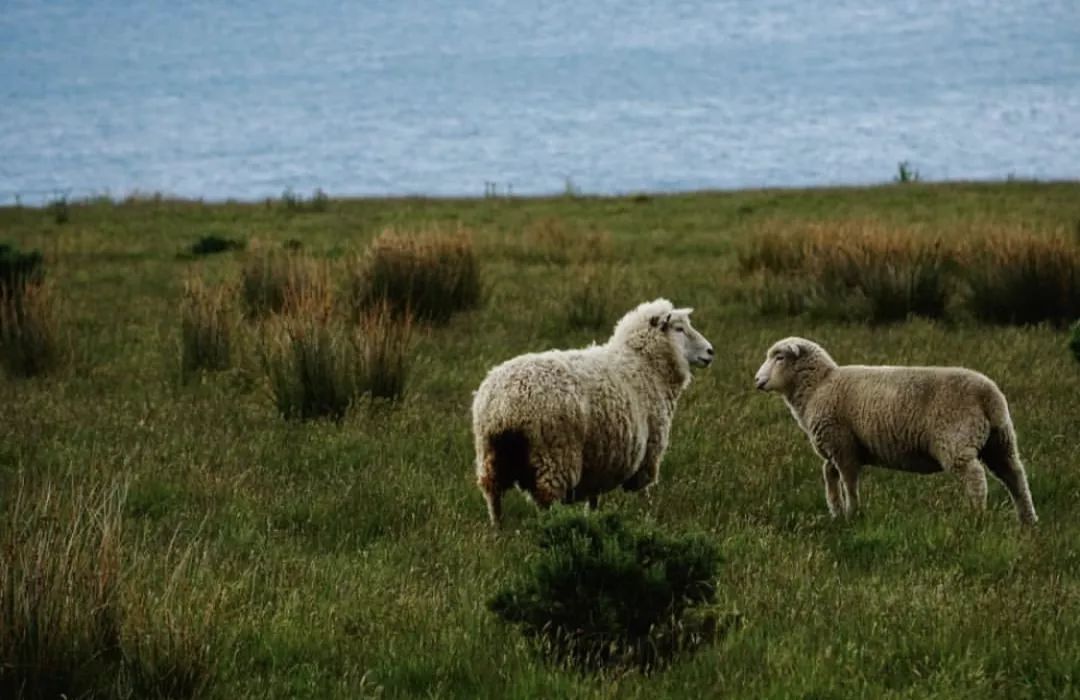 美剧指环王即将开拍,美剧版指环王首播