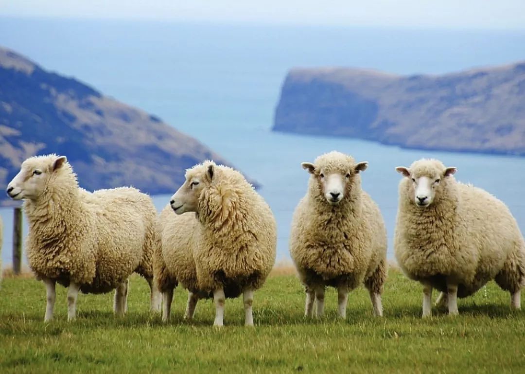 美剧指环王即将开拍,美剧版指环王首播