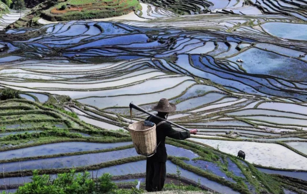 约吗？10月27日去巽寮听一场云南原生态民间艺术展演