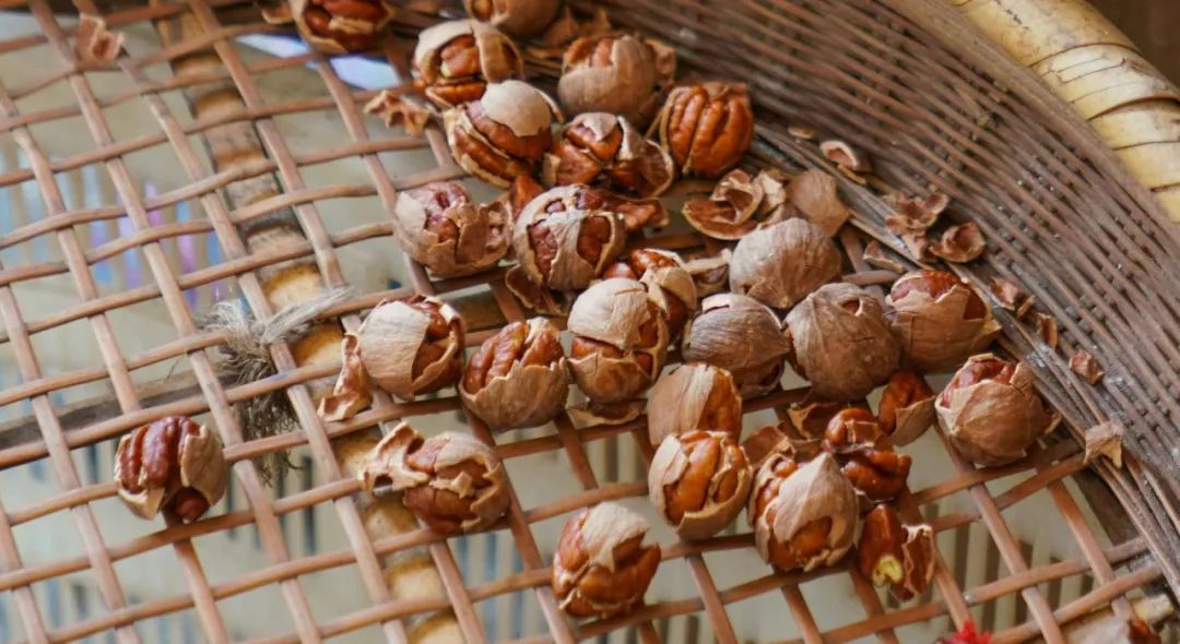 正宗非手剥山核桃,非常好吃又好剥的野生山核桃