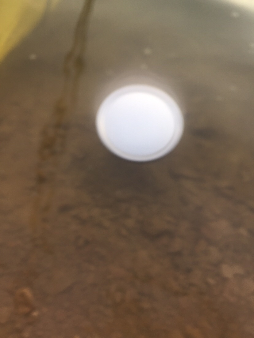 好久未发说说,好久没发过朋友圈的句子