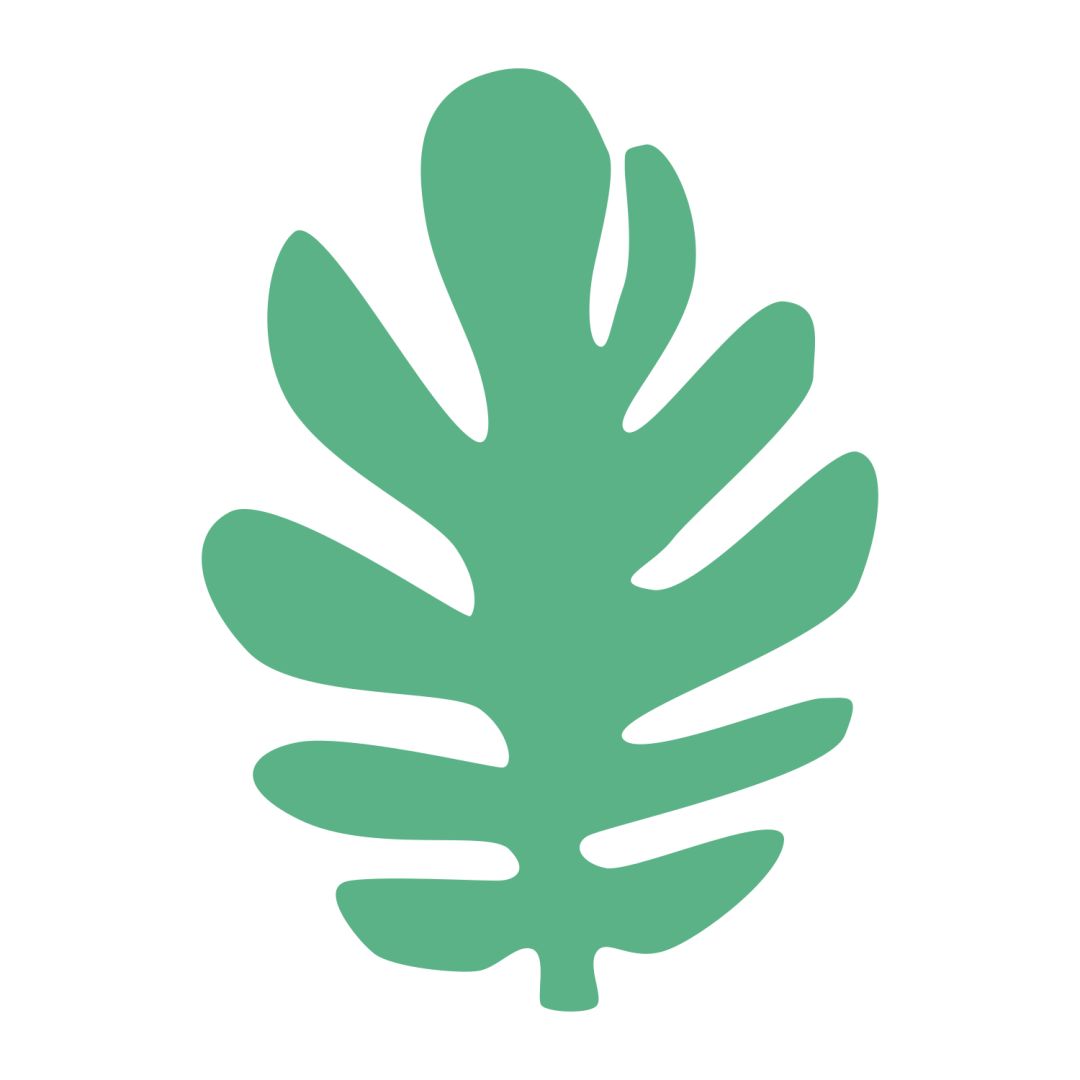 川大必修课最新消息,川大有哪些必修课