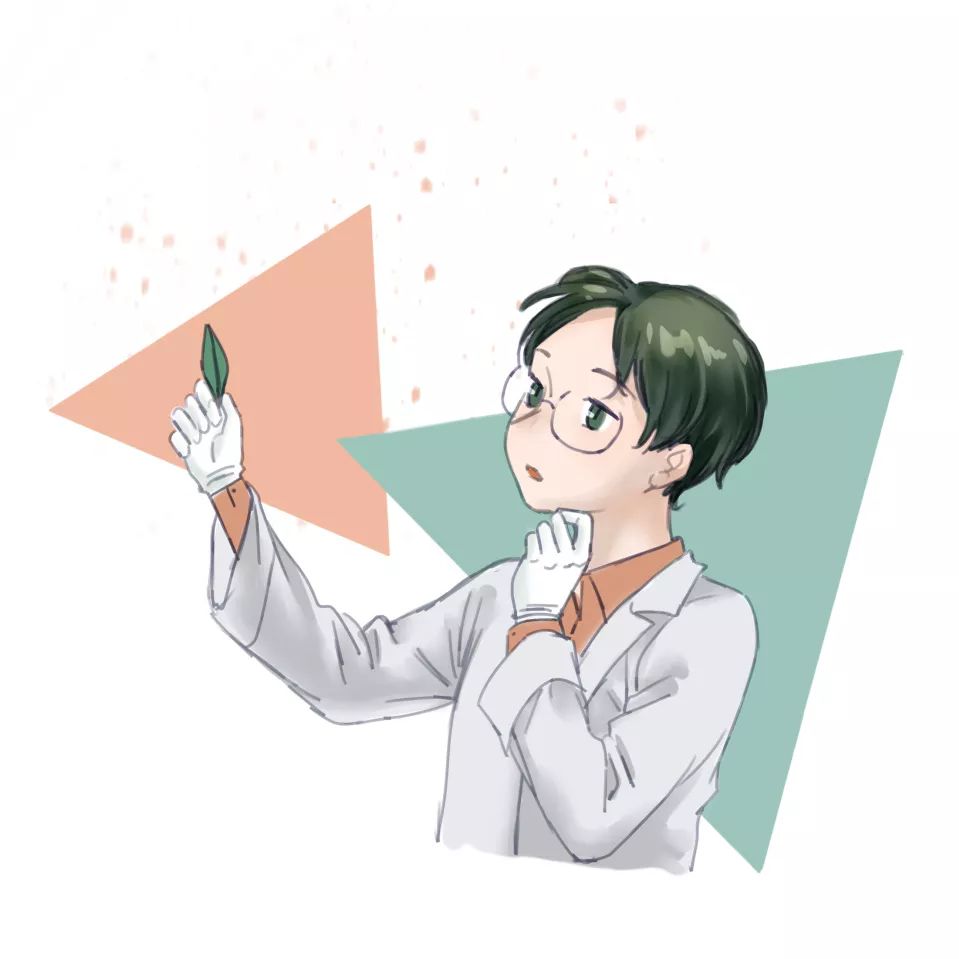 川大必修课最新消息,川大有哪些必修课