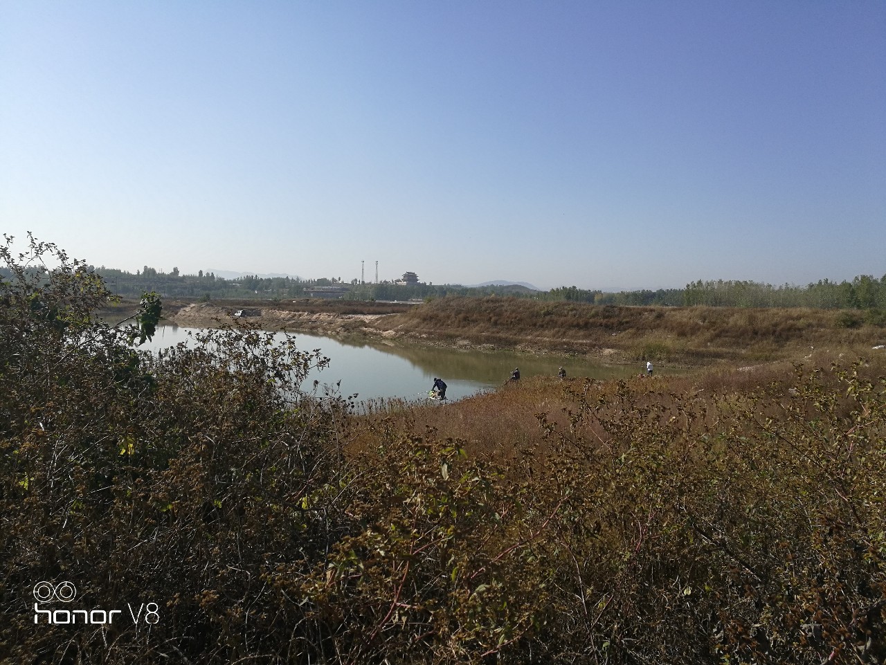 初春野河钓小杂鱼,野钓避杂鱼