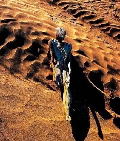 楼兰古文明怎么消失了,一夜消失的楼兰古国