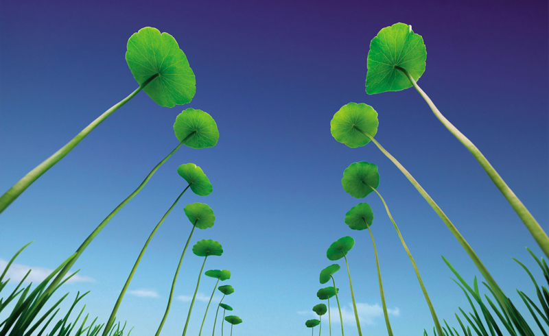 脑洞训练三部曲(合辑)