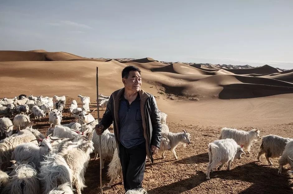 想要把冬天的日子过得温暖又柔软,想把日子过得热气腾腾