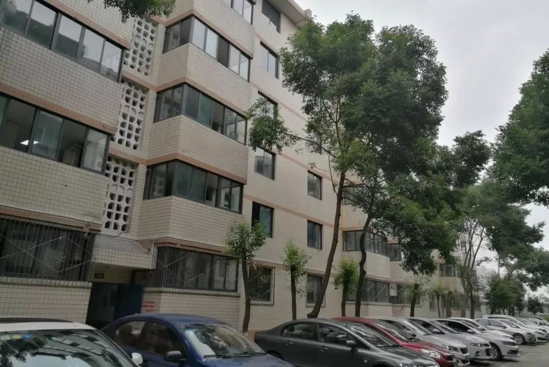 租房新规执行后个人如何出租房屋,租赁住房新政策