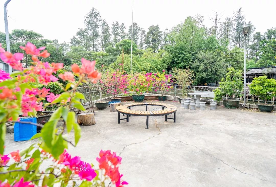 嚟度，可能系顺德桑拿种类最多嘅地方！鸵鸟都唔放过！真够呛