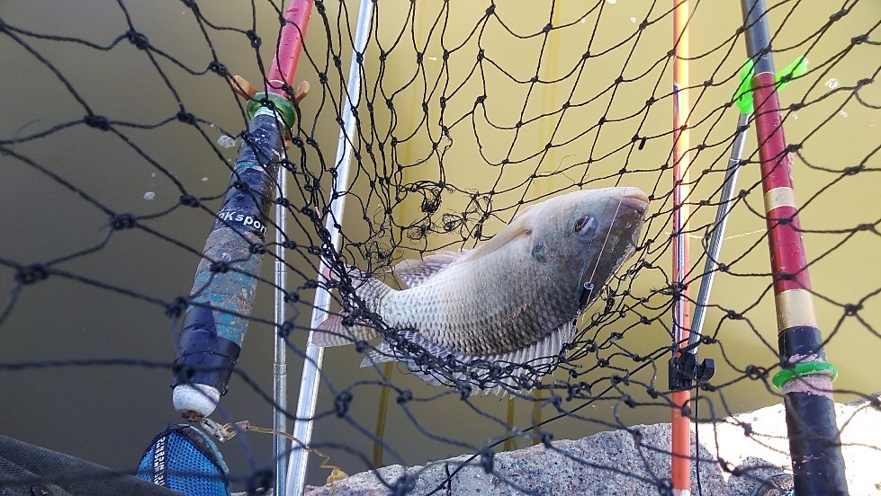 带友渔乐记渔获20斤,钓鱼不能*欢偷**