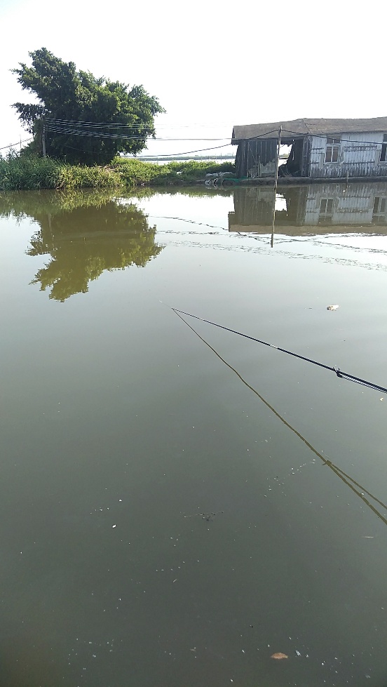 带友渔乐记渔获20斤，钓鱼不能*欢偷**