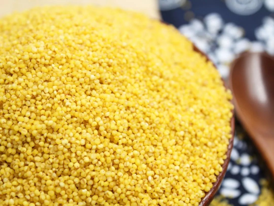 什么样的小米煮粥好喝,米脂小米五谷杂粮粥