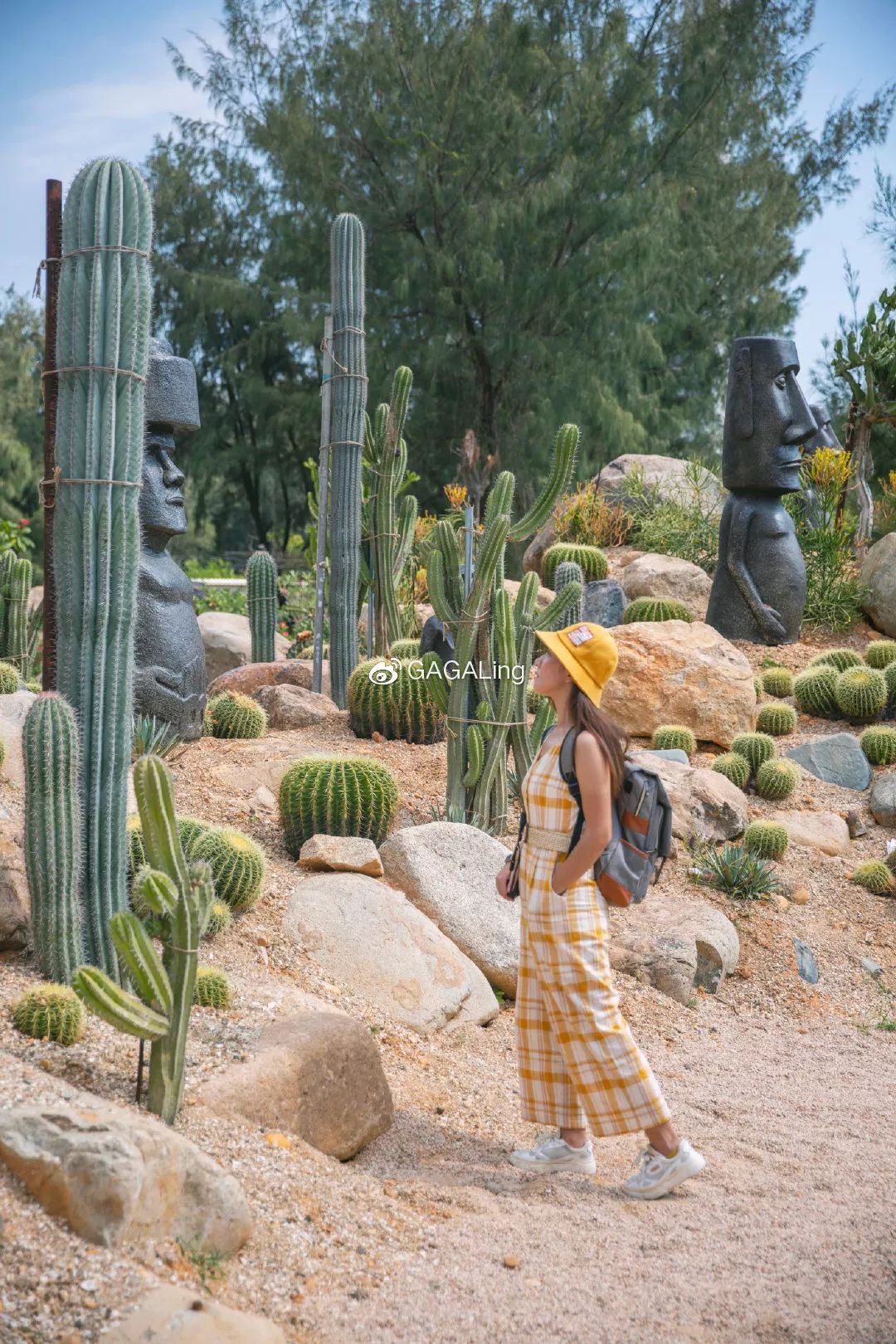 大V推荐|国内少有的黄金沙滩海岸，漳州六鳌游玩必备攻略，拍照小贴士！