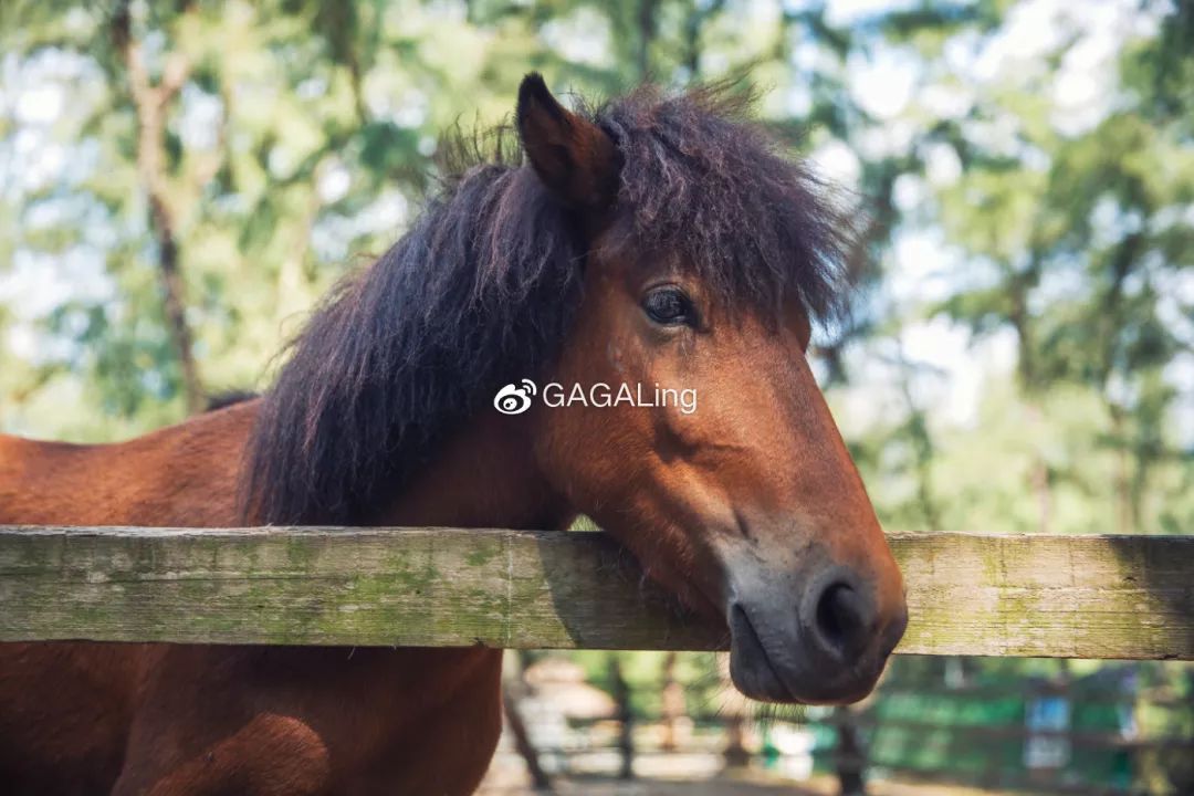 大V推荐|国内少有的黄金沙滩海岸，漳州六鳌游玩必备攻略，拍照小贴士！