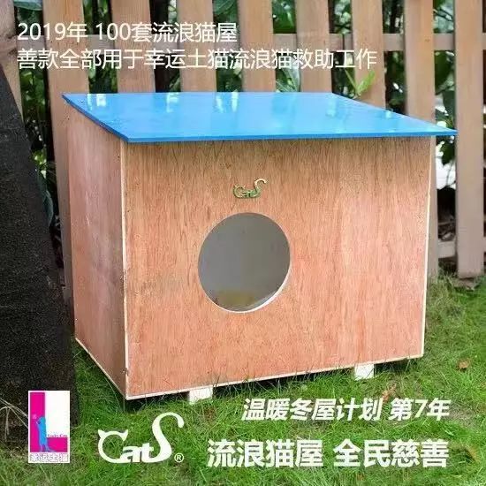 2019温暖继续！这是第七年CatS牌温暖冬屋，替猫咪们说感谢