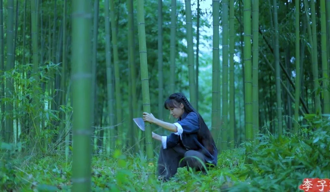 人气最高网红村姑,盘点曾经很火的村姑网红