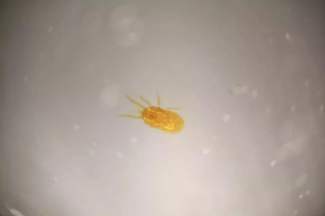 双11到底有什么优惠,双11到底哪些优惠