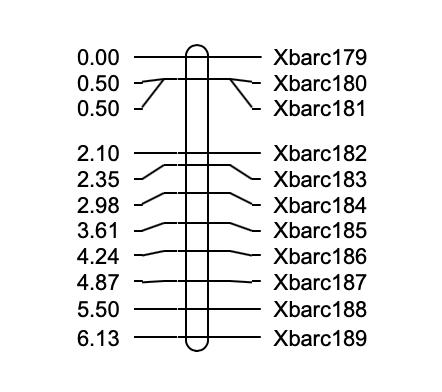 如何绘制交叉网状图,怎么快速画线性图