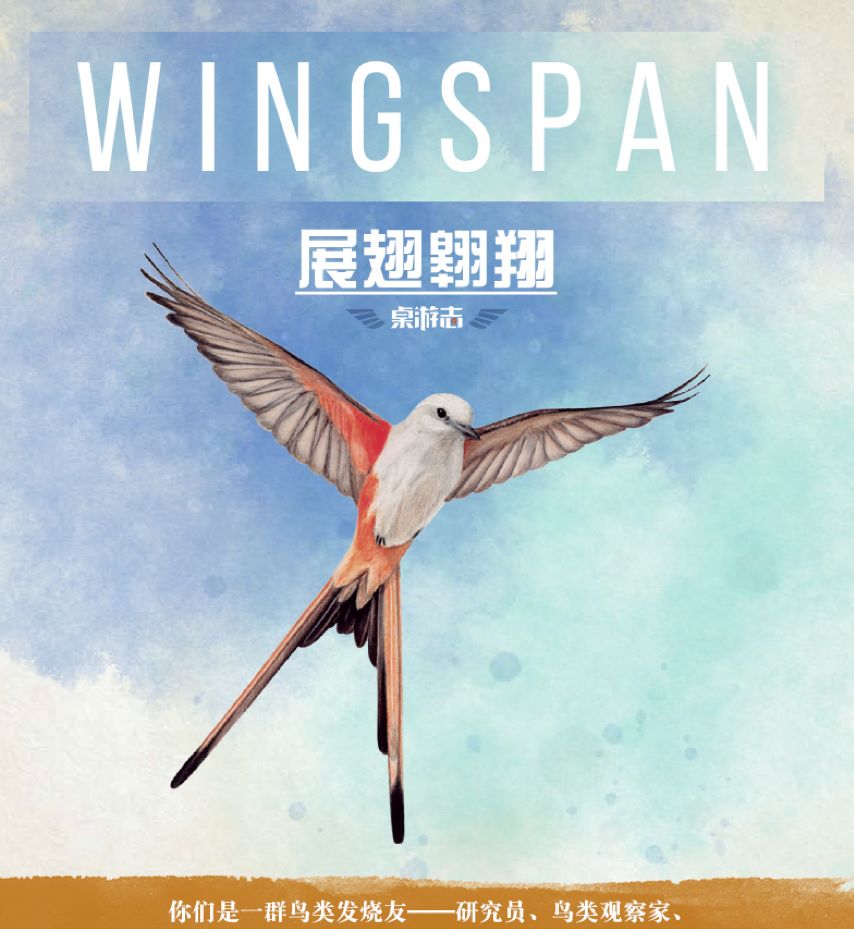 怎么选桌游,最适合孩子玩的桌游