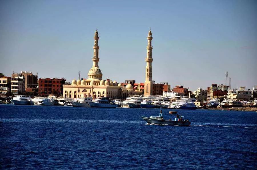 一半海水一半火焰在血液中奔跑,一半海水一半火焰在线阅读