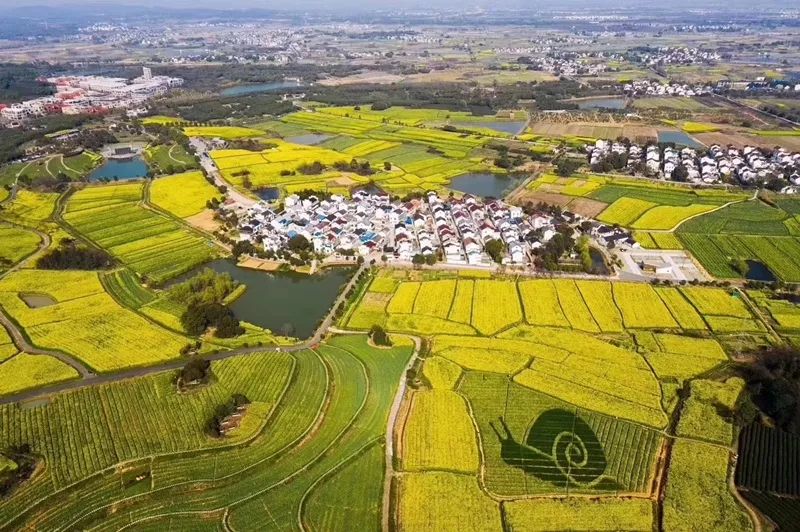 天呐!被南京这些路圈粉!