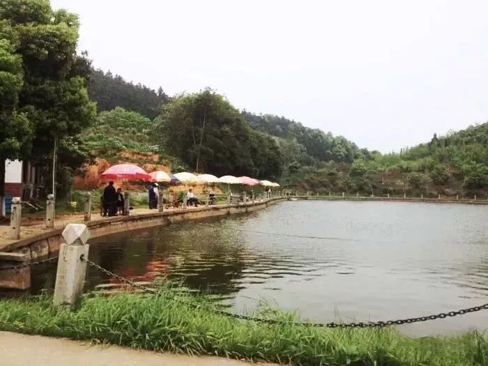 长沙河西农家乐和休闲农庄,长沙最佳生态农庄